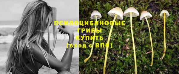 mix Алексеевка