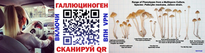 Галлюциногенные грибы мухоморы  OMG ССЫЛКА  Волгоград 